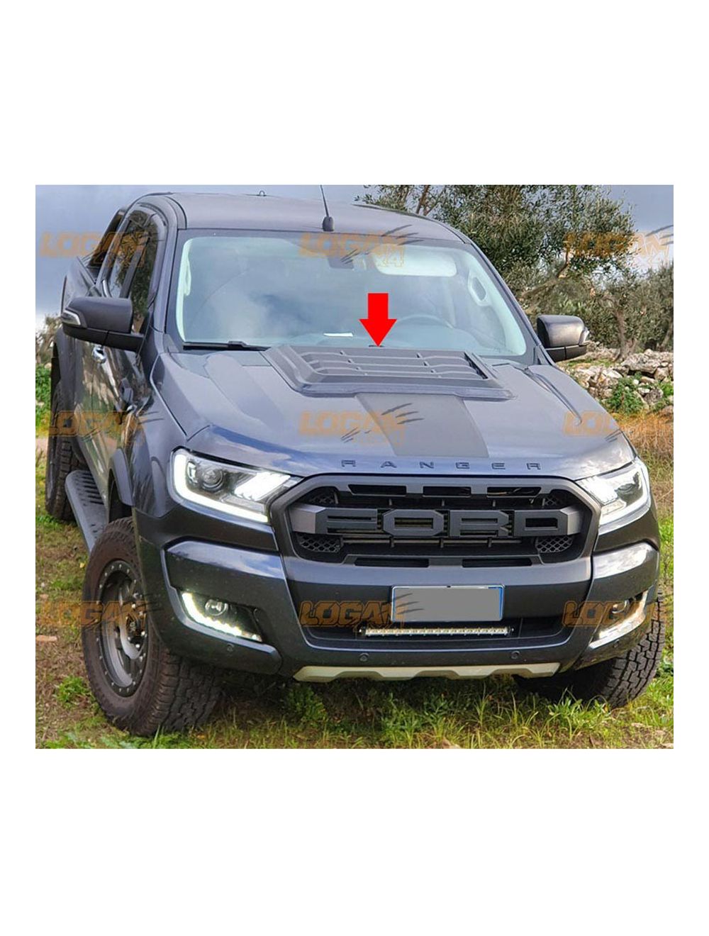 Haubenlift Ford Ranger Raptor Rival Gasfedern Motorhaube Ford Ranger Raptor  für den Ford Ranger Raptor ab 2022